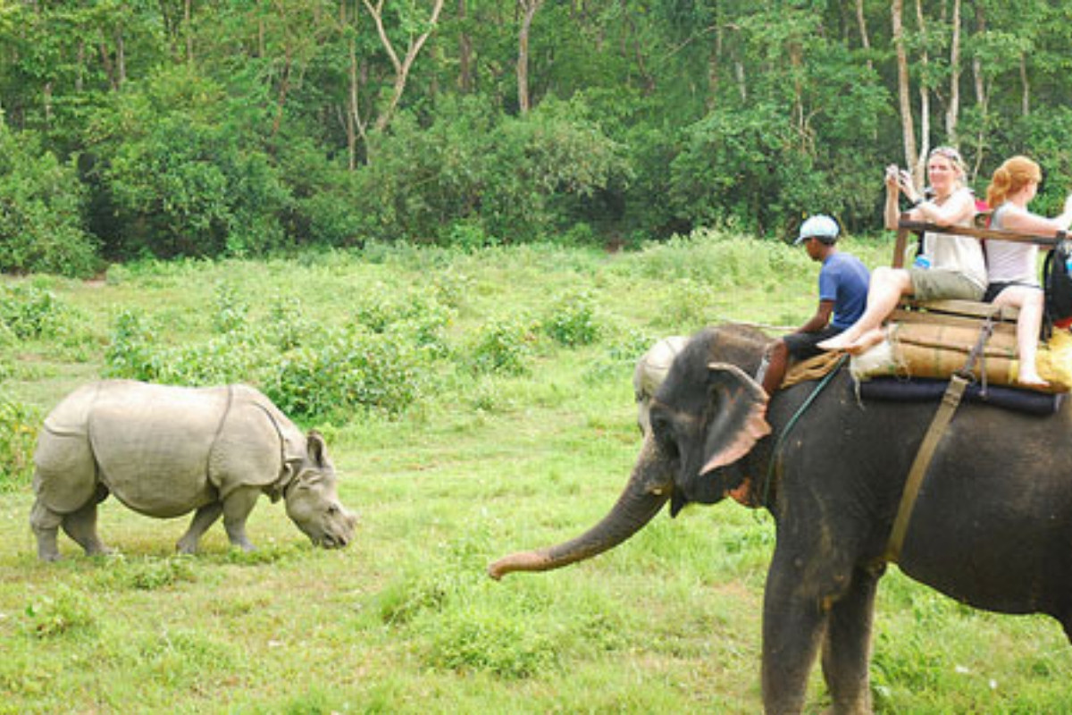 chitwan national park elephant ride